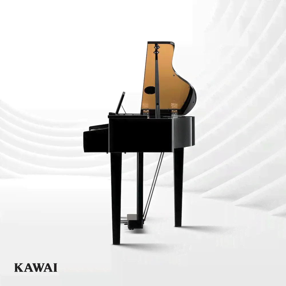Kawai DG30 Рояль-3