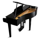 Kawai DG30 Рояль