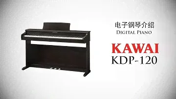 2021 KAWAI KDP120 - 全新改良经济实惠又性能强，坚持质量从不妥协