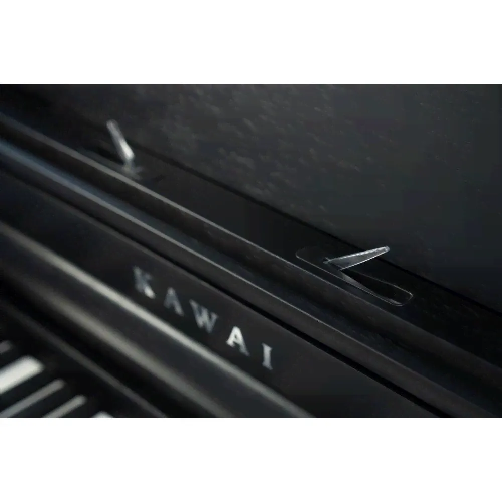 Kawai Kawai CA401 B-4