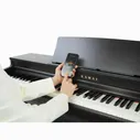 Kawai Kawai CN201 B