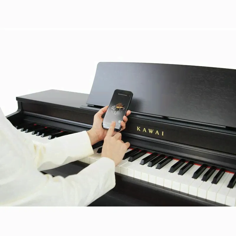 Kawai Kawai CN201 B-0