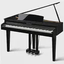 Цифровой мини рояль Kawai DG30 PE