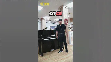 Kawai ND-21 Thích nghi mọi thời tiết
