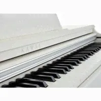 Kawai KDP120 W, Цифровое пианино-0