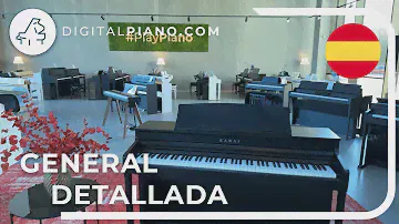 Visión general detallada del Kawai CA-401 | Digitalpiano.com