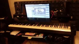 Kawai VPC1 Цифровое пианино