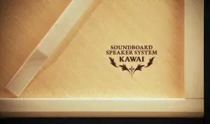 Kawai CA901 цифровое пианино-0