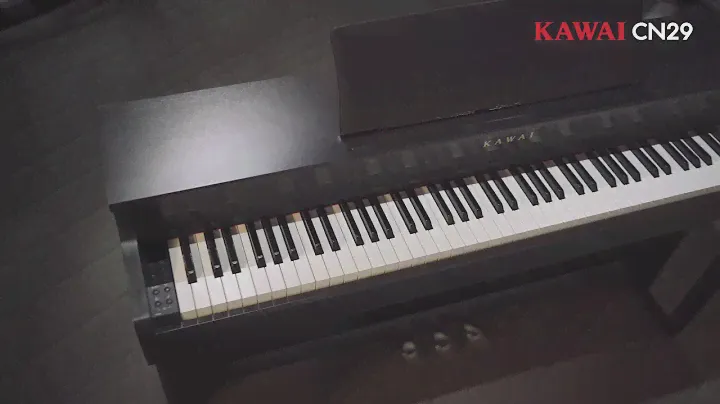 Kawai CN29 Model Kuljaesol