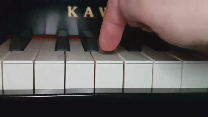 Kawai VPC1 - Kawai RM3II keyboard action - 1