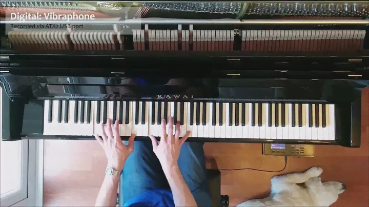 Kawai's K300-ATX2 (Acoustic vs. AnytimeX2 Silent System)
