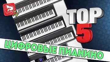 ТОП-5 цифровых пианино, выбор цифрового пианино без корпуса