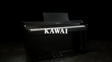 Kawai CN29 Digital Piano, Satin Black | Gear4music demo