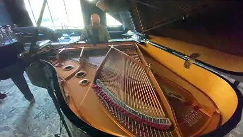 Shigeru SK3 Classical Wayne Kelly