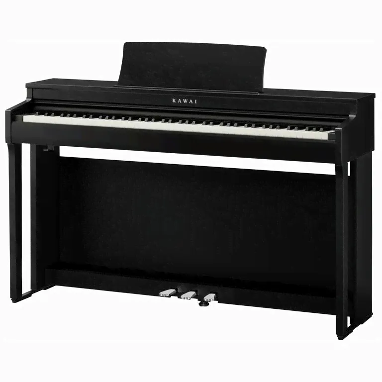 Kawai Kawai CN201 B-1