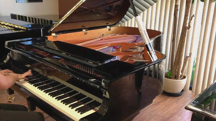 Shigeru Kawai SK - 6