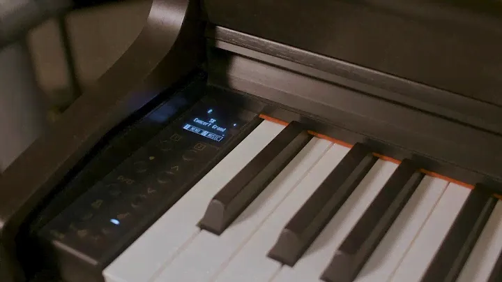 KAWAI CN29