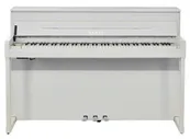 Kawai CA99W