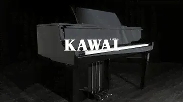 Kawai Novus NV10 Hybrid Digital Piano, Polished Ebony | Gear4music demo