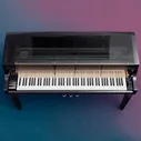 KAWAI NV10S цифровой гибридный рояль