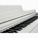 Kawai KDP120 W, Цифровое пианино