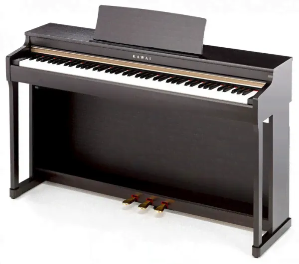 Цифровое пианино Kawai CN25R 88 клавиш, 192 полифония-0