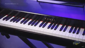 Kawai VPC1 88 Key USB MIDI Controller Keyboard - Kawai VPC1